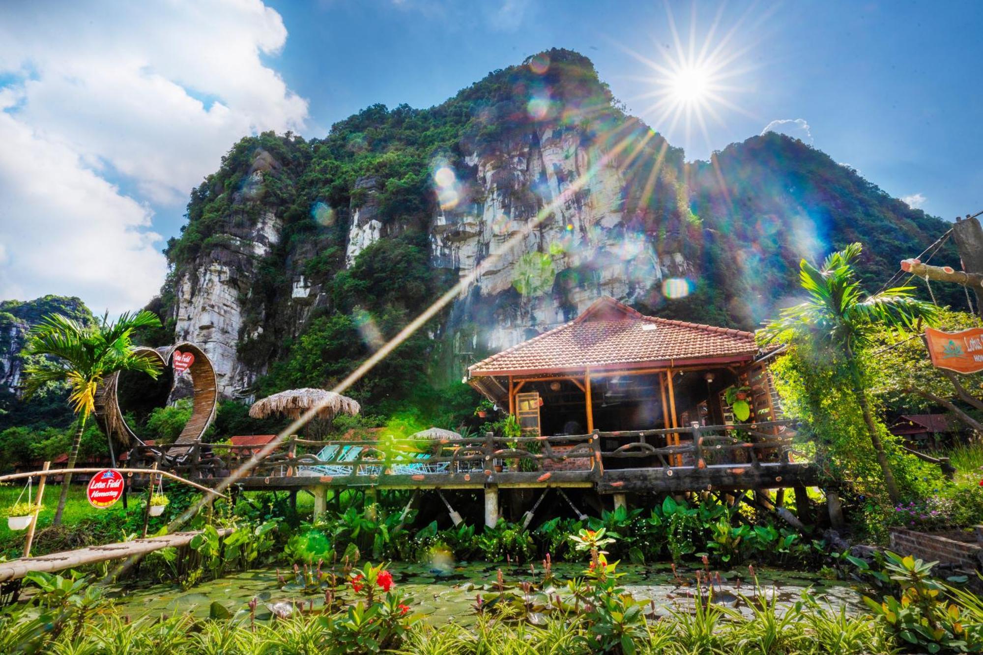 Lotus Field Homestay Ninh Binh Exterior photo