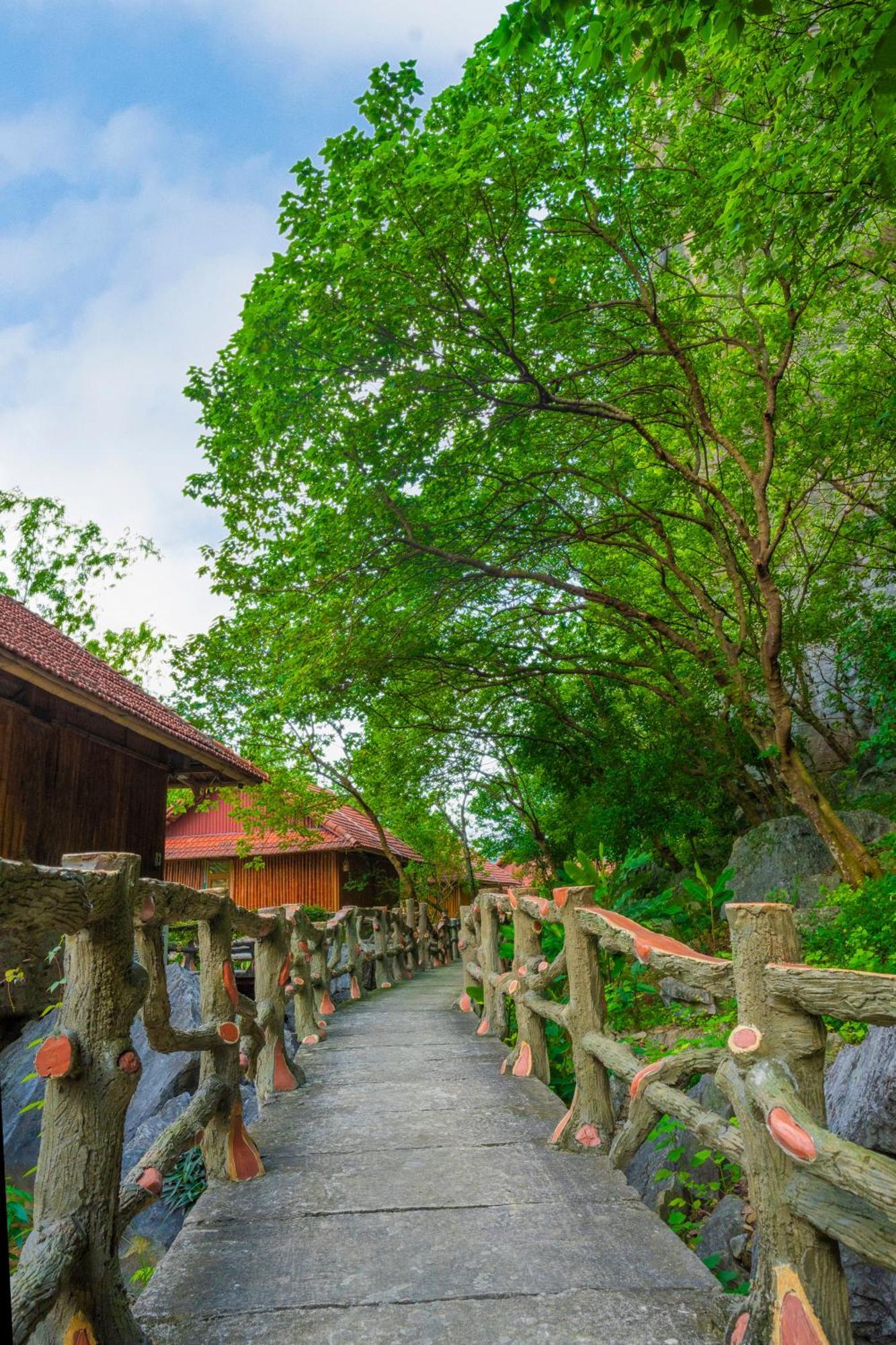 Lotus Field Homestay Ninh Binh Exterior photo